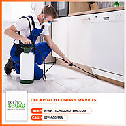 Guaranteed Cockroach Control Services in Chennai