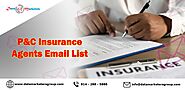 P&C Insurance Agents Email List | Data Marketers Group