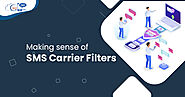 Everything you Need to Know About Carrier Filters