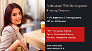Web Development Training Programs in Amritsar | NSPL RTC