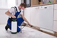 Pest Treatment Margate FL