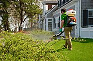 Pest services Margate FL