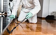 Pest Treatment Margate FL