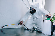 Pest Control Coconut Creek