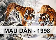 Tuổi Mậu Dần sinh năm 1998 - Tử vi trọn đời Nam| Nữ mạng