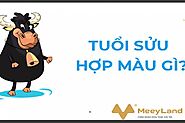 Tuổi 2009 Mệnh Gì, Con Gì? Tuổi Kỷ Sửu Sinh Tháng Nào Tốt?