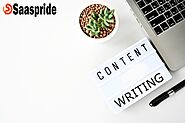 Writing Service for SEO Friendly Content and Blog Posts