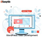 Get our service to develop a WordPress website with customization