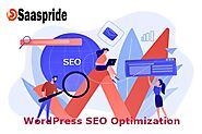 Expert and Professional SEO service for WordPress websites