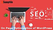 Get the best SEO Service of WordPress Website from SEO Experts