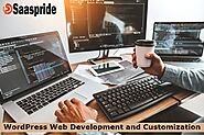 We provide the best experts to develop WordPress websites with customization