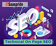 Professional SEO and technical on-page optimization of WordPress site