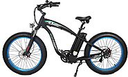 Ecotric Hammer fat tire electric bike