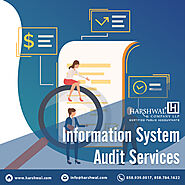 Information System Audit | Financial Audit Service Provider – HCLLP