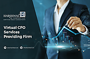 Top Virtual CFO Services Providing Firm in USA – HCLLP