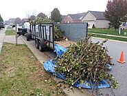 Yard Debris Removal Temple Terrace | Mikey's Junk Removal