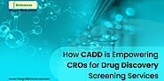 How CADD is Empowering CROs for Drug Discovery Screening Services