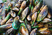 Green-Lipped Mussel Recipe