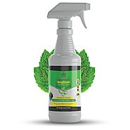 Buy Home Pest Control Spray | Natural Pesticide Products Online - EZBo