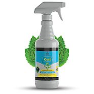 Buy Natural Bed Bug Killer | Best Nontoxic BedBug Spray Online - EZBo