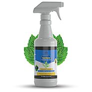 Buy Spider Repellent Spray | Natural Spider Repellent Online - EZBo