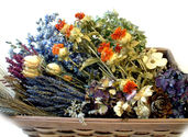 The Everlasting Garden: Easy Tips for Drying Flowers