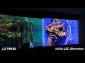 LG LED Pico Projector (PG63 / PB70) versus AAXA LED Showtime
