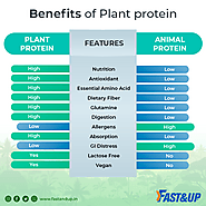 Why Plant Protein is Better than Animal Sourced protein - Fast&up
