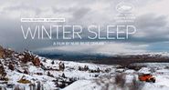 2014-Winter Sleep