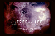 2011-The Tree of Life