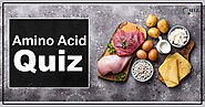 Amino Acid Quiz Questions and Answers - Quiz Orbit