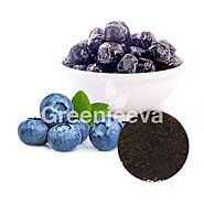 Blueberry Fruit Powder Supplier | Bulk Blueberry Fruit Powder