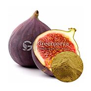 USDA Approved Bulk Organic Fig Fruit Powder Supplier