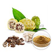 White Mulberry Root Bark Powder Supplier | Bulk White Mulberry Root Powder