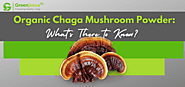 What Should You Know About Organic Chaga Mushroom Supplement?