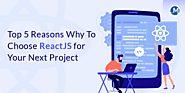 Top 5 Reasons Why To Choose ReactJS for Your Next Project