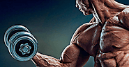 Best steroid cycle to bulk