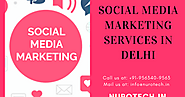 Promote your Business By Social Media Marketing service in Delhi