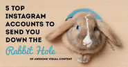 5 Top Instagram Accounts to Send You Down a Rabbit Hole of Visual Content