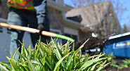 Guide to Maintaining Your Lawn and Landscape in Spring