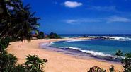 The Negombo Beaches