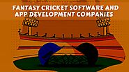 Top 10 Fantasy Cricket Software and App Development Companies 2021-22