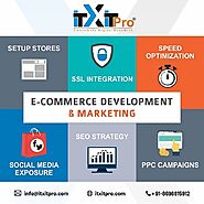 Website at https://itxitpro.com/ecommerce-web-development-services/