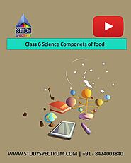 6 Science Components of food