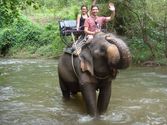 Trekking – Or Elephant Rides