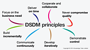 Learn The DSDM principles | Infographic