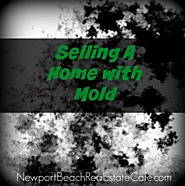 Selling a Home Where Mold Grows | What You Need to Know