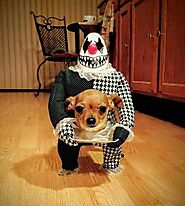 17 Hilariously Clever Halloween Dog Costumes - WebGerm