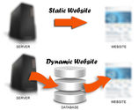 Static or Dynamic What to Select and Why ?