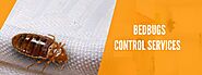 Bed Bugs Control Services - Pest Control Services | Awesome Pest